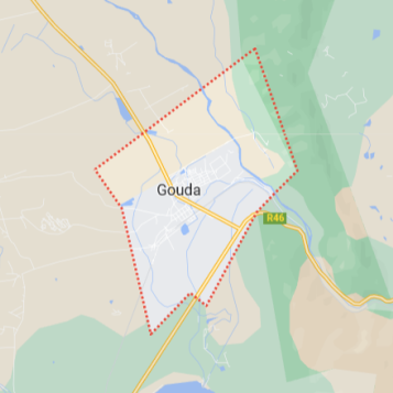 Gouda