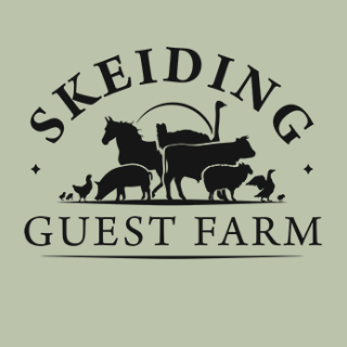 Skeiding Guest Farm