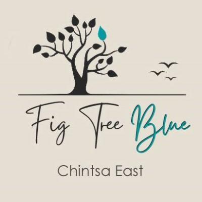 Fig Tree Blue