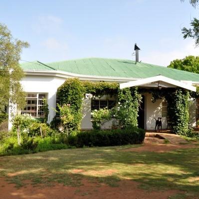 Springfontein House