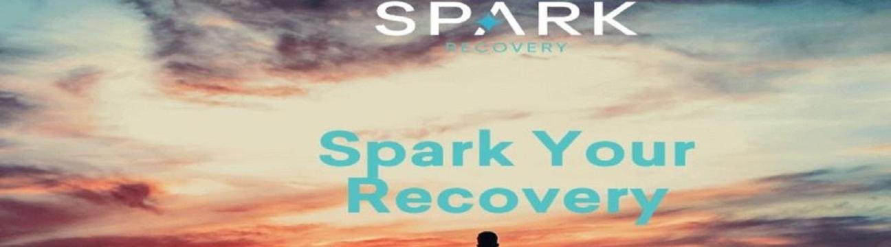 Spark  Recovery