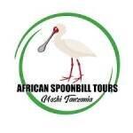 African Spoonbill Tours