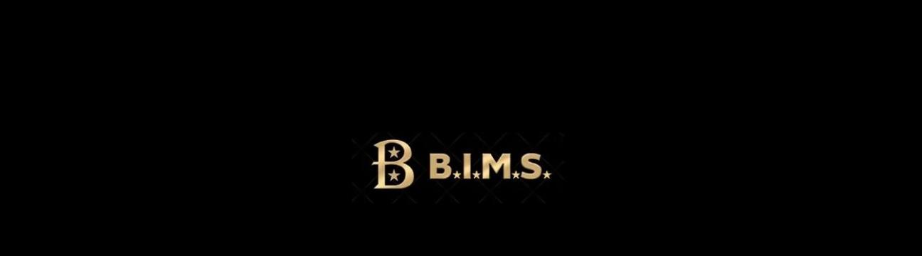 B.I.M. S., Inc.