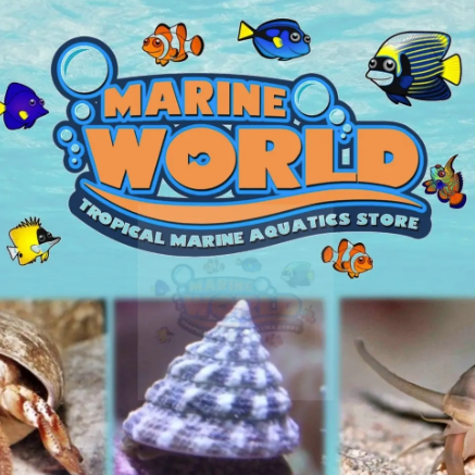 Marine World  Aquatics