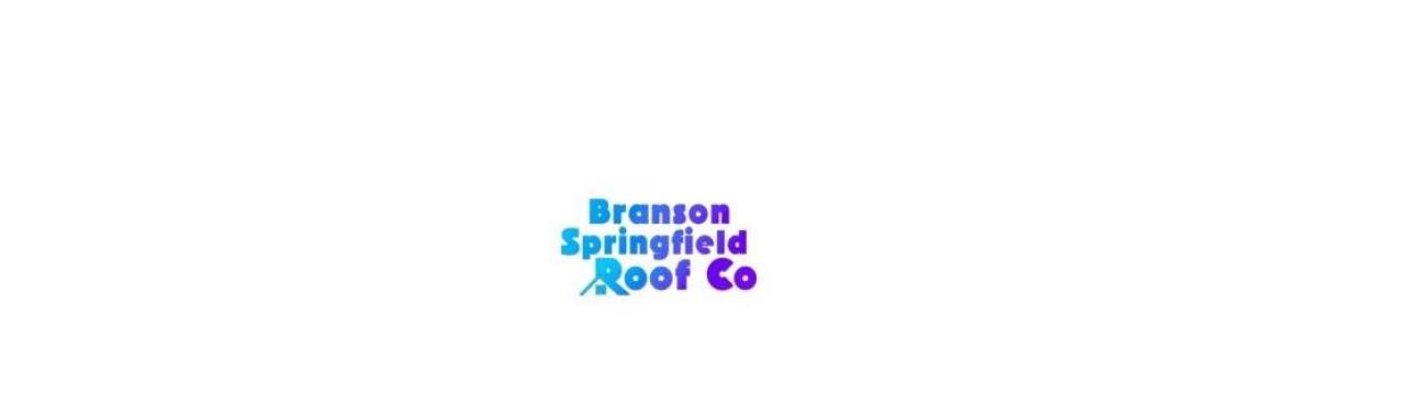 Springfield  Roof Co