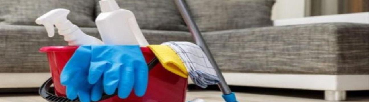 Bee Dazzled  Cleaning Service
