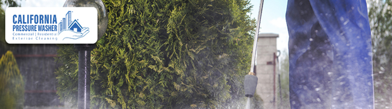 California Pressure Washer